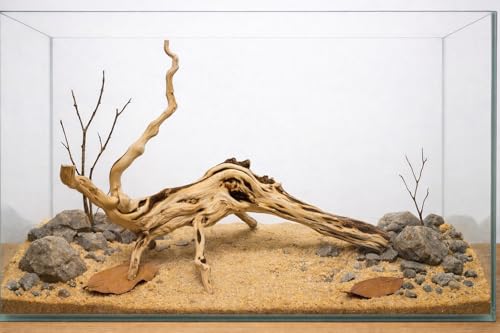 Azil spiderwood Natural Aquarium - size: Spiderwood 10'' - 14''