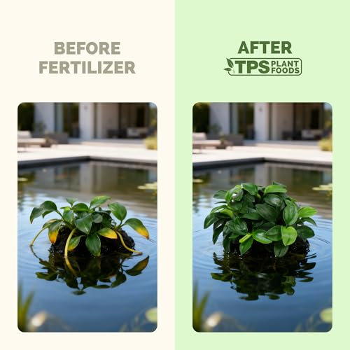 Aquatic Plant Fertilizer – Liquid Plant Food for Lush Growth, Vibrant Color & Healthy Aquarium Plants, 32 oz - size: 32 oz (1 Quart)