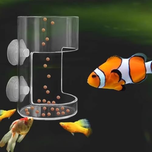 Fish Tank Feeding Tray Set with Suction Cups - Tube Supplies, Tank Divider, Breeder Box for Round Aquariums & Fish Bowls - Essential Aquarium Accessories