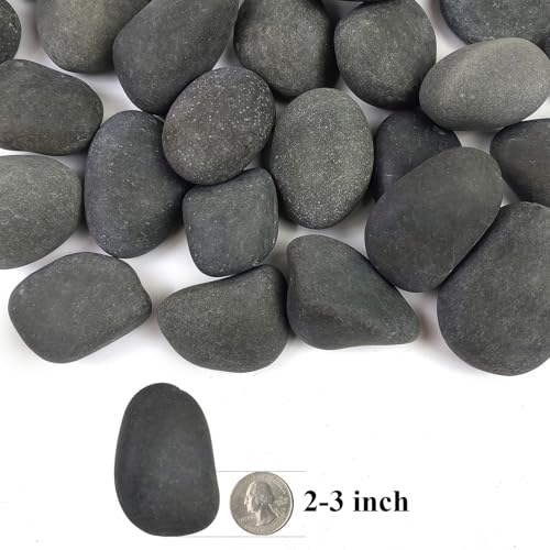 Black River Rocks for Landscaping, 2-3 Inch Natural River Rocks for Garden Beds, Potted Plants, Fish Tanks, DIY Pathway and Backyard Accent, Stones for Crafts, Walkways,(20lbs Bulk) - color: Natural Black, size: 2-3 Inch(20LB)
