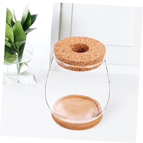 Milisten Hydroponic Glass Planter Vase with Tray 4.52X4.52X4.92In Transparent Diy Micro Landscape Bottle for Indoor Outdoor Plant Display and Home Garden Decoration