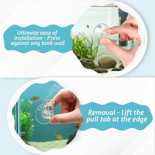 6 Pack Aquarium Suction Cup Clips, Clear Plastic Fish Feeding Tool, Veggie Seaweed Plant Holder for Fish, Underwater Fish Feeder, Tank Fish Feeder Clips Accessories