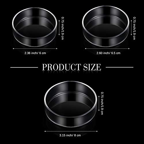 Patelai 3 Pieces Aquarium Shrimp Feeding Dish Clear Glass Fish Tank Feeding Bowl Food Bowl Freshwater Tray Feeder, 60mm, 65mm, 80mm