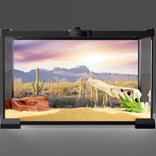 AWERT Reptile Habitat Background Blue Sky Oasis Mountain Cactus Sun and Desert Terrarium Background 30x12 inches - size: 30x12in/75x30cm