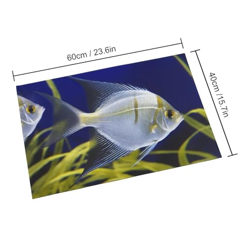 Outdoor Door Mat 15.7" X 23.6" Non-Slip Doormat Aquarium Angelfish Front Door Mats Quick Dry Welcome Mats for Outdoor Indoor Entrance Mat Home Decor Floor Mats for Patio - color: Aquarium Angelfish