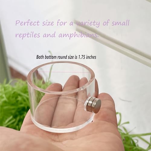 2Pcs Jumping Spider Feeding Dish, Magnetic Tiny Food Dishes Water Dish for Jumping Spider, Tarantula and Other Small Pets,Transparent - size: Multiple