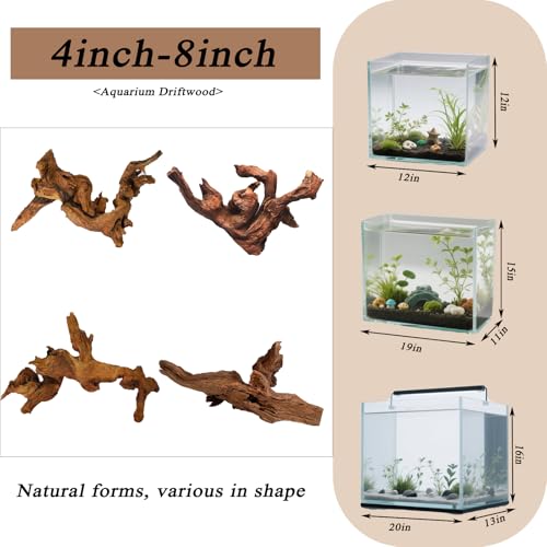 Natural Aquarium Driftwood for Fish Tank & Reptile Terrarium Decor – 4 Pcs Assorted Natural Wood Branches 4-8 Inch, Aquarium Decorations for Shrimp, Betta, Lizards