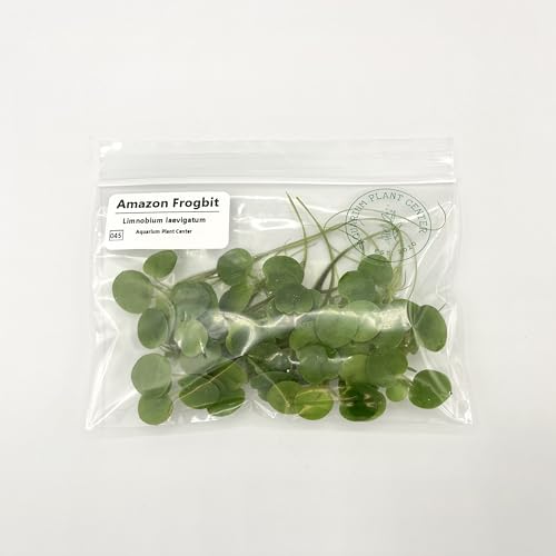 Amazon Frogbit, Limnobium laevigatum, Live Aquarium/Aquatic/Freshwater/Floating/Pond Plant/Planted Tank/Aquascaping/Paludarium by Aquarium Plant Center (12 Plants (36+ Leaves)) - style: 12 Plants (36+ Leaves)