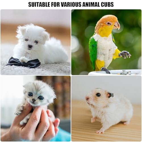 Baby Bird Feeding Syringe Set, Pet Parrot Milk Feeding Syringe with Tubes, Parrot Feeding Tubes Measuring Tools for Feeding Pets Scientific Industrial Labs… (20ml + 2 spoons) - color: 20ml + 2 spoons