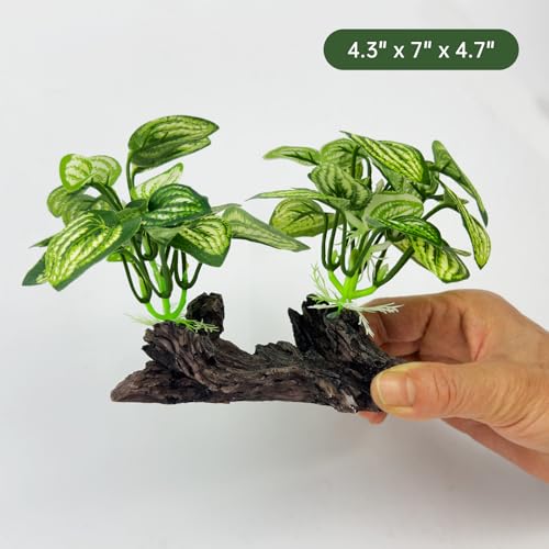Aquarium Driftwood, Natural Fish Tank Decor for Betta, Reptile Hideout & Terrarium Ornament, Type-D - size: Type-D