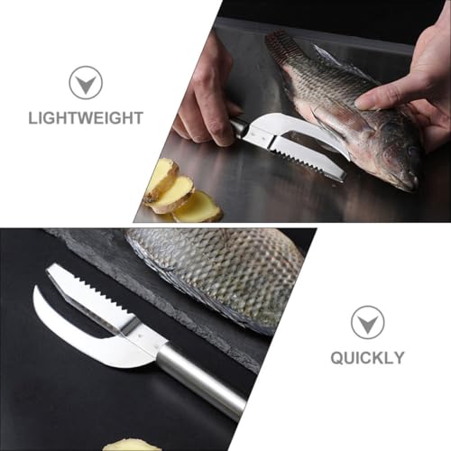 minkissy 2pcs Stainless Steel Fish Scale Remover and Belly Opener Tool Set Multi-use Reusable Seafood Cleaning Kitchen Gadgets for Home Cooking