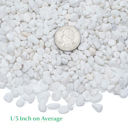 Mr. Fireglass 5 lbs White Pebbles,1/5" Natural Decorative River Rocks Aquarium Gravel for Indoor Plants, Vases, Succulents and Outdoor Garden Landscaping - color: White, size: 5 Pounds