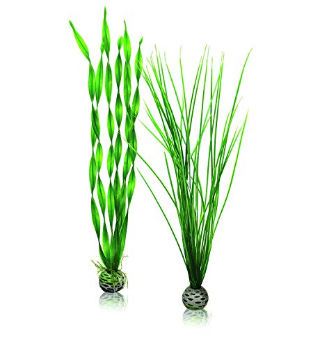 biOrb Large Green Plant Set, Colorful and Durable Aquarium Decorations - color: Green, size: Large