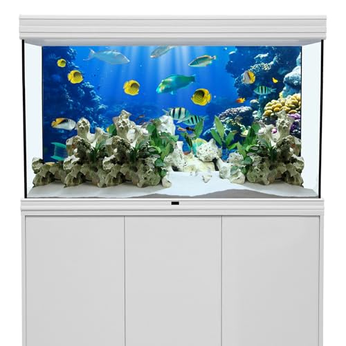 YongFoto Ocean Theme Fish Tank Background 24x16 inch Coral Seaweed Reef Rock Seafloor Tropical Fish Underwater Sea World Polyester Backdrop Reptile Habitat Terrarium Aquarium Background - color: Underwater 3, size: 24x16inches
