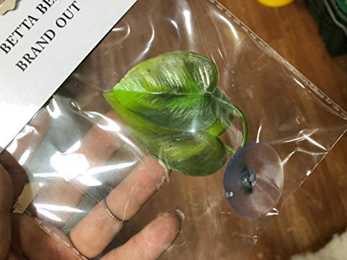 CousDUoBe 3 Pack Betta Fish Leaf Pad Improves Betta's Health by Simulating The Natural Habitat - Natural, Organic, Comfortable Rest Area for Fish Aquarium Ornaments - size: 3 Pack