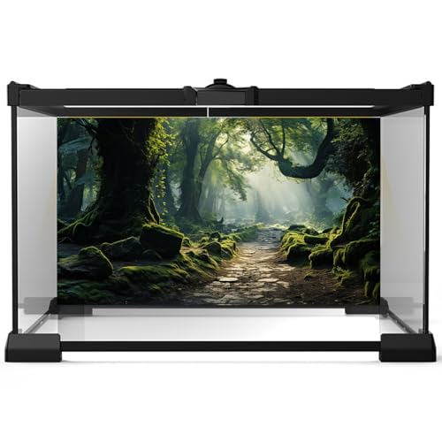 Aquarium Background Ancient Misty Morning Forest Terrarium Backdrop Lush Moss with Forest Path Jungle Style Scene Fish Tank Background Reptile Habitat Backdrop Poster Decor Vinyl 24x12in - color: Moss Dark Green, size: 24(W)x12(H)inches/ 60(W)*30cm(H)