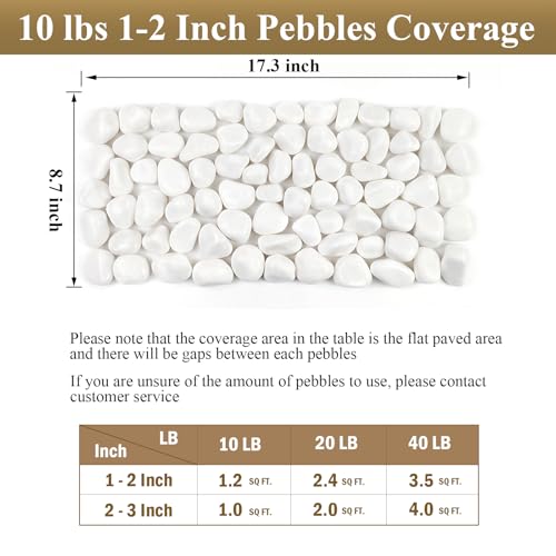 FANTIAN 10 lbs White Rocks for Landscaping, 1-2 Inch Small Pebbles for Indoor Plants, Decorative Polished River Stones for Potted, Vase and Outdoor Garden - color: White, size: 10 lbs, 1-2 Inch