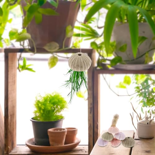 POPETPOP 6Pcs Natural Sea Urchin Shell Air Plant Holders 2.16In Miniature Flower Pots Aquarium Landscape Tabletop Decor Versatile Indoor Outdoor Planters