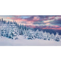 YongFoto Winter Snow Scene Fish Tank Background 30x12 inch Snowfield Pine Forest Rime Sunglow Rosy Clouds Polyester Backdrop Reptile Terrarium Aquarium Bearded Dragon Habitat Background - color: Purple 3, size: 30x12in/75x30cm