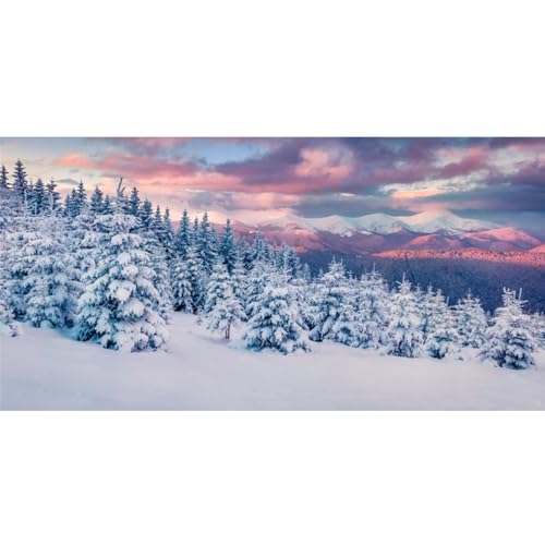 YongFoto Winter Snow Scene Fish Tank Background 24x16 inch Snowfield Pine Forest Rime Sunglow Rosy Clouds Polyester Backdrop Reptile Terrarium Aquarium Bearded Dragon Habitat Background - color: Purple 3, size: 24x16in/60x40cm