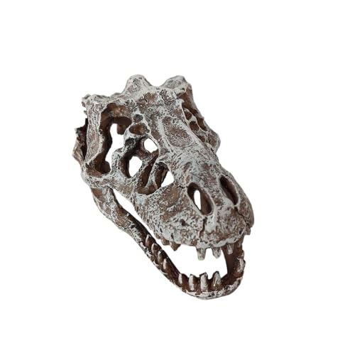 Aquarium Decoration Skull Dinosaur Head, Resin T-rex Skull Skeleton Ornament, Fish Tank Hollow Reptiles Hideout Statue Decor, Artificial Tyrannosaur Sculpture for Home Bar Office Desktop Decoration