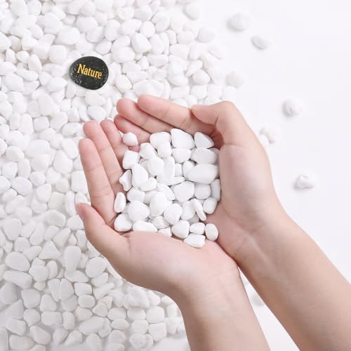SIDONG 10 LB White River Rocks, 0.3-0.5 Inches Pebbles for Indoor Plants, Aquarium Rocks Used in Fish Tank, Decorative Stones for Plants, Vases, Home Décor, Crafting, Garden Landscaping - color: White, size: 10 Pounds
