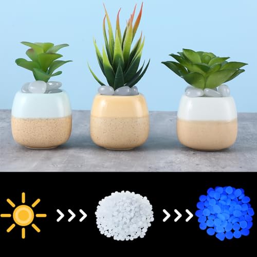 Sasylvia 3000 Pcs Glow in The Dark Rocks 1 Inch Glow Rocks 12.6 LB Garden Glow in The Dark Stone Outdoor Glow in The Dark Pebbles for Landscaping Walkway Pathway Backyard Fish Tank Plant (White) - color: White