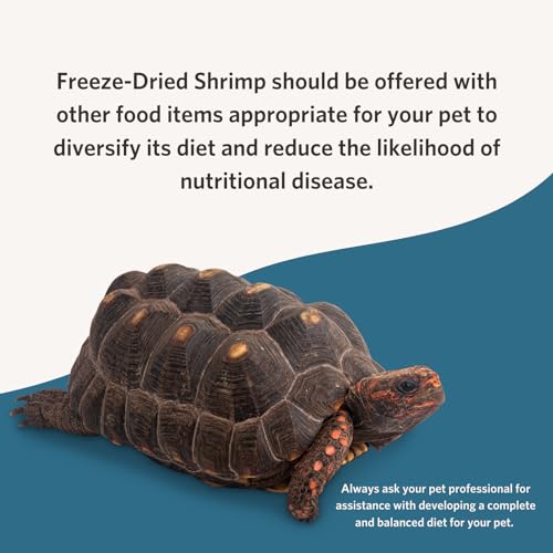 Fluker's Freeze Dried River Shrimp, Nutrient-Packed, Ideal for Lizards, Reptiles, Birds, Fish, Hedgehogs, 1 Oz