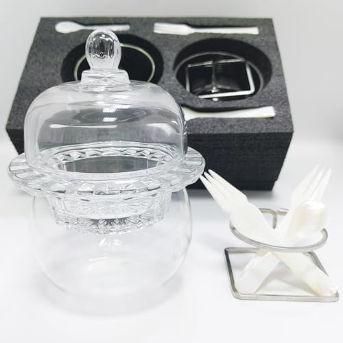 Chilled Glass Caviar Dish with Shell Spoons With Lids Elegant Serving Tray with Ice Underneath for Caviar Shrimp and Party Appetizers chip and dip bowl ice cream