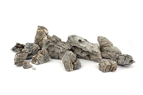 LANDEN Seiryu Stones Natural Rocks for Aquarium, Paludarium, Terrariums, Landscaping Rocks, Aquascaping, 80L (36lbs) 3-11in, Seiryu Stones(3-11inch,36lbs) - size: 07 Seiryu Stones(3-11inch,36lbs)