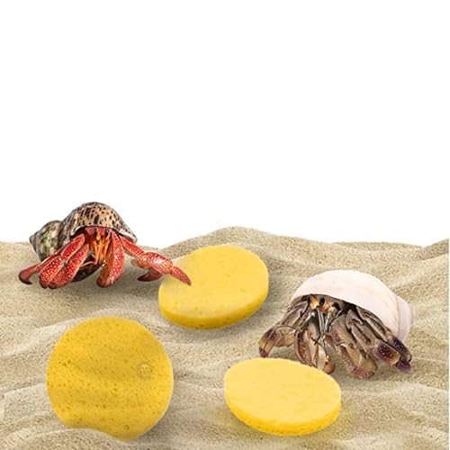 Hermit Crab Sponges for Water, 10 Pack Unbleached Hermit Crab Accessories & Supplies, Pet Crab Sponges Provide Nutrients and Maintain Tank Humidity, Water Dish Yellow Real Sea Sponges, 2" x 1"