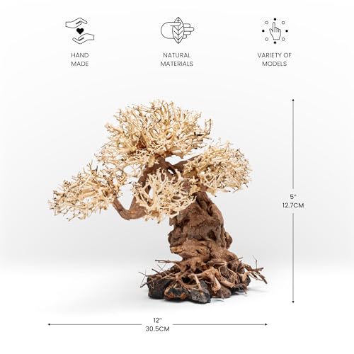 Ultum Nature Systems Bonsai - Handcrafted Hardscape Driftwood for Aquarium, Terrarium, Vivarium, Natural Aquascape Hardscape Decorations, Aquascaping Hardscape for Live Aquatic Plants - 012, Medium