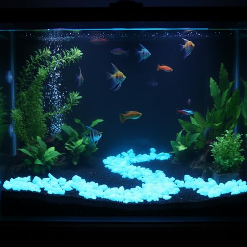 Shiny Stone Glow in The Dark Aquarium Neon Gravel Sand, Decorative Rocks for Fish Tank and Fairy Garden, Home Dec,305g/0.67lbs (8-15mm, Sky Blue) - color: Sky Blue, size: 8-15mm