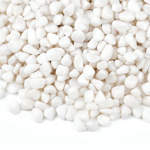 5 lbs Small White Rocks for Planters, 3/8" White Pebbles for Vases, Decorative Small Stones for Plants, Succulents, Bamboo, Terrarium, Landscape, Garden - color: White