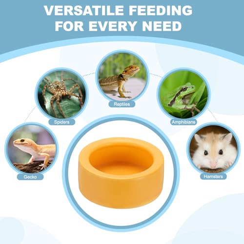 Reptile Food Bowl, Worm Water Dish Ceramic Pet Bowl Food Dish Anti Escape Feeder Small (2 in, Clay), Intended for Gecko/Scaled Pet/Amphibians/Spiders/Small Mammals