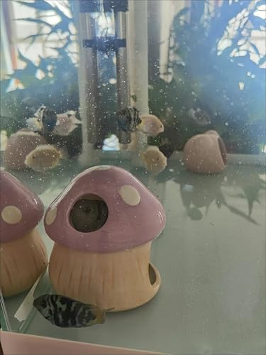 Ceramic Fish Tank Decor, Cute Mushroom House Aquarium Decorations, Betta Tank Accessory Hideout Caves Ornament for Small Fish Goldfish Shrimp Toad Reptiles (Purple)