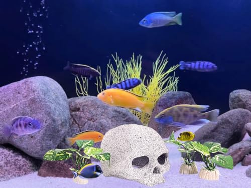 Fish Aquarium Decorations Cave Hide with Viewing Window for Betta Fish Tank Decor - color: Green 4