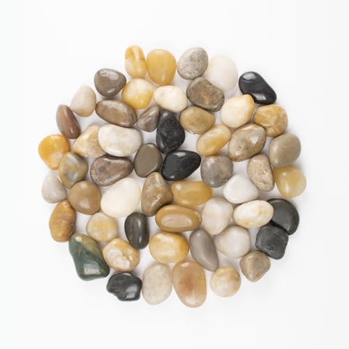 40lbs 0.5-1 Inch River Rocks, Decorative Mixed Pebbles for Garden Landscaping, Indoor Plants, Fish Tanks, Vases, and Succulents – Ideal for Home Decoration and Outdoor Gardens (Mixed, Weight: 40 LB) - color: Mixed, size: Weight: 40 LB