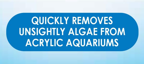 API Aquarium Pharmaceuticals 44 Hand Held Pad for Acrylic Aquariums - color: No Color, size: Pad (Pack of 1)