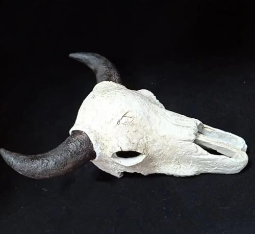 8x6 inch Aquarium Decoration Fish Tank Skull Animal Skull Statues Décor Ornaments Fish Turtle Hidden,Amphibians Bonsai Beautification Cave Landscape Pet Reptile House (White - Black Horn Cattle Skull) - color: White - Black Horn Cattle Skull