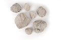 LANDEN Elephant Skin Stone Natural Multi-Texture Rocks Grey(18lbs, 3~9 inches,7pcs) for Aquarium, Paludarium, Terrariums, Landscaping, Decorative of Caves, Waterfalls, Cliffs - size: 16 Elephant Skin Stone Grey(3-9 inches,18lbs)