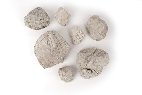 LANDEN Elephant Skin Stone Natural Multi-Texture Rocks Grey(18lbs, 3~9 inches,7pcs) for Aquarium, Paludarium, Terrariums, Landscaping, Decorative of Caves, Waterfalls, Cliffs - size: 16 Elephant Skin Stone Grey(3-9 inches,18lbs)