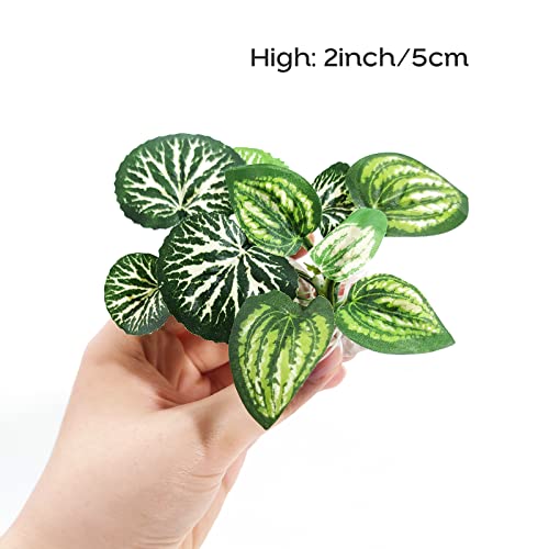 Fish Aquarium Decorations Cave Hide with Viewing Window for Betta Fish Tank Decor - color: Green 2