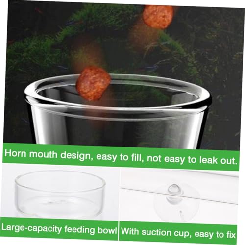 Toyvian Aquarium Shrimp Feeding Tube and Glass Feeder with 30cm Feeding Dish for Fish Tank Tools