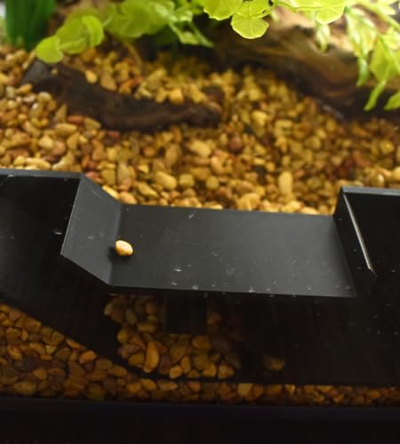 Chatelet Aquarium Underground Tunnel | Fish & Shrimp Hideout for Aquariums | Unique Underground Viewing Tunnel | Made in USA (Black) - color: Black