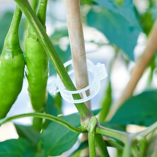 200Pcs Garden Vine Plant Support Clips,Plastic Fixing Clips for Securing and Training Climbing Plants,Tomatoes,Grapes,Vine Vegetables and Potted Plant (200, White) - color: White