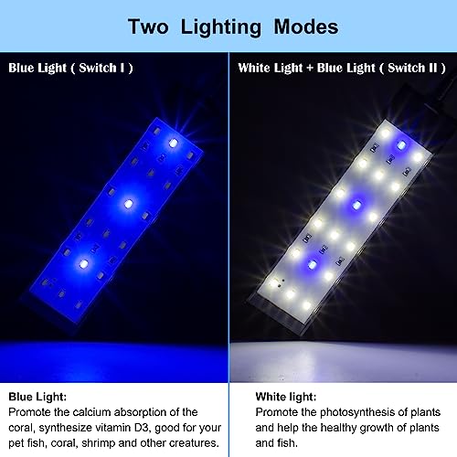 DaToo Aquarium Light Small LED Clip Light for Fish Tank 7W, 1 Yr Warranty - size: 7W (Without Timer & Dimmer)