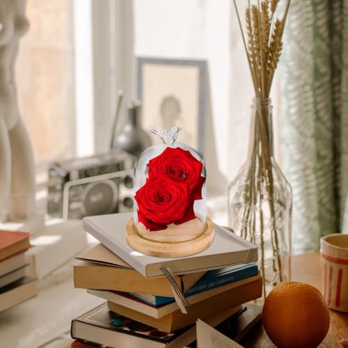 Happyyami Flower Glass Cover Display Cloche Dome Party Dried Flower Vase Plant Decor Bird House Decor Showcase Display Dome Cloche Tabletop Display Dry Flower Botanical Cute Room Wooden