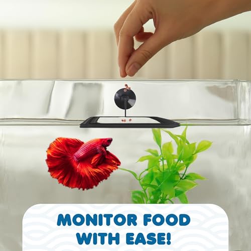 SunGrow Fish Food Feeding Ring, Stop Water Turbulence from Washing Food & Floating Plants into Filtration System, Suitable for Flakes & Floating Fish Pellets (3 Pieces) - size: 3 Pieces