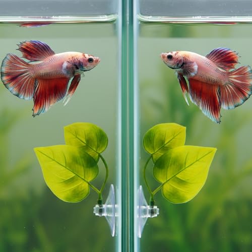6Pcs Betta Fish Hammock, Beta Hammock Realistic Leaf Design, Fish Hammocks with Strong Suction Cup for Aquarium Decoration and Fishes Resting Spot Placement